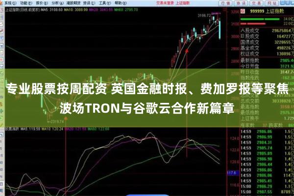 专业股票按周配资 英国金融时报、费加罗报等聚焦波场TRON与谷歌云合作新篇章