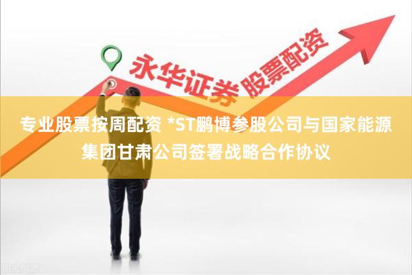 专业股票按周配资 *ST鹏博参股公司与国家能源集团甘肃公司签署战略合作协议