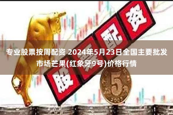 专业股票按周配资 2024年5月23日全国主要批发市场芒果(红象牙9号)价格行情