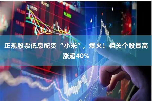 正规股票低息配资 “小米”，爆火！相关个股最高涨超40%