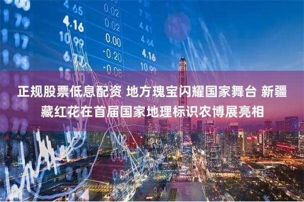 正规股票低息配资 地方瑰宝闪耀国家舞台 新疆藏红花在首届国家地理标识农博展亮相