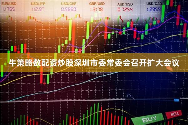 牛策略数配资炒股深圳市委常委会召开扩大会议