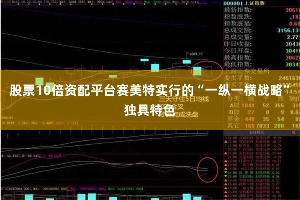 股票10倍资配平台赛美特实行的“一纵一横战略”独具特色