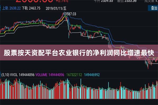股票按天资配平台农业银行的净利润同比增速最快