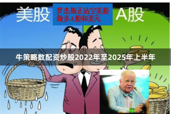 牛策略数配资炒股2022年至2025年上半年